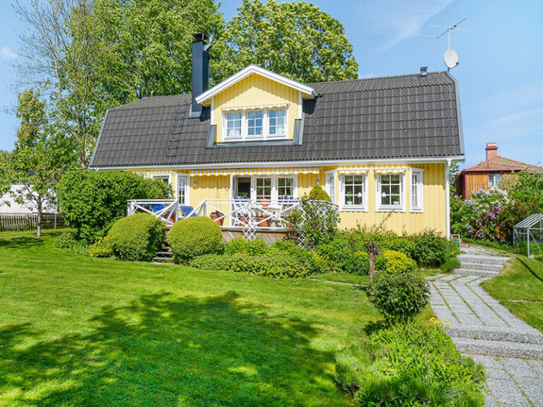 Anlägga Trädgård, Häckar, Rabatter